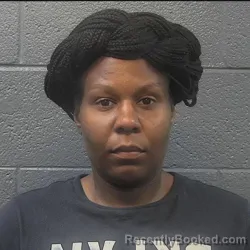 Mugshot of Tiana Louise Phillips booked in Danville County, Virginia on August 27, 2026