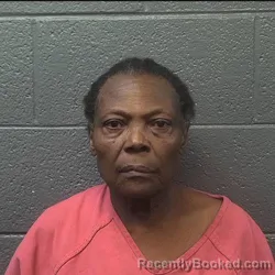 Mugshot of Pamela Karol Wilson booked in Danville County, Virginia on August 27, 2026