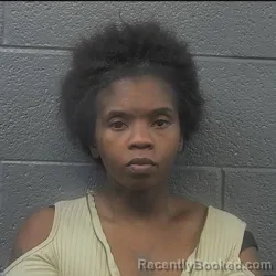 Mugshot of Sina Gail Williams booked in Danville County, Virginia on August 28, 2026