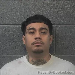 Mugshot of Alexis Buitrago booked in Danville County, Virginia on August 28, 2026