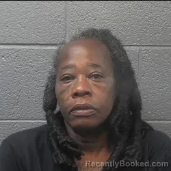 Mugshot of Yvonne Robertson booked in Danville County, Virginia on August 30, 2026