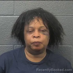 Mugshot of Linda Marie Jones booked in Danville County, Virginia on September 1, 2026