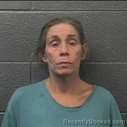 Mugshot of Amanda Dianne Gibson booked in Danville County, Virginia on September 1, 2026