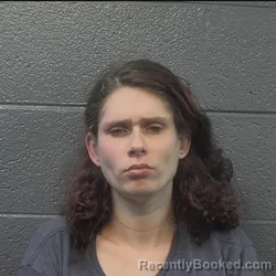 Mugshot of Brenda Lea Freeman booked in Danville County, Virginia on September 8, 2026