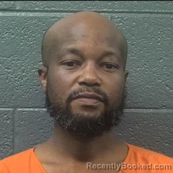 Mugshot of Ronald Lee White booked in Danville County, Virginia on September 9, 2026