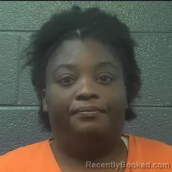 Mugshot of Brianna Alexandria Abner booked in Danville County, Virginia on September 14, 2026