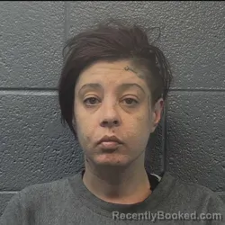 Mugshot of Briana Alexandra Voit booked in Danville County, Virginia on September 15, 2026