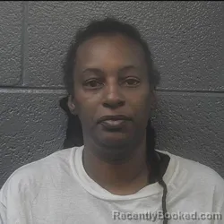 Mugshot of Precious Latoya Still booked in Danville County, Virginia on September 16, 2026