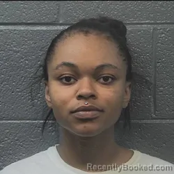 Mugshot of Tyneisha Renee Stokes booked in Danville County, Virginia on September 17, 2026