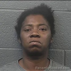 Mugshot of Crystal Faye Brandon booked in Danville County, Virginia on September 17, 2026