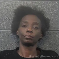 Mugshot of Paula Ann Hines booked in Danville County, Virginia on October 4, 2026