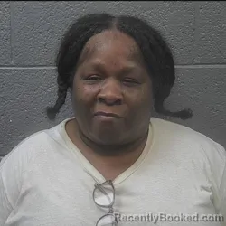 Mugshot of Marsha Lashelle Pritchett booked in Danville County, Virginia on October 24, 2026