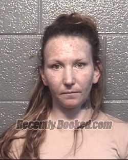 Booking photo from Danville County, Virginia