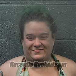 Booking photo from Danville County, Virginia
