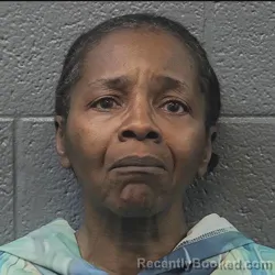 Booking photo from Danville County, Virginia