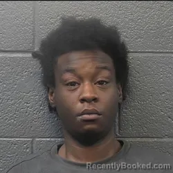 Booking photo from Danville County, Virginia