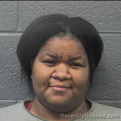 Mugshot of JESSICA LEE TRAYNHAM