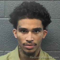 Mugshot of DEVIN O'MARION AVERETT
