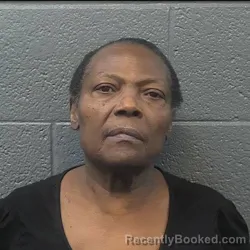 Mugshot of PAMELA KAROL WILSON