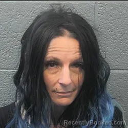 Mugshot of KERRY ANN MEADOWS