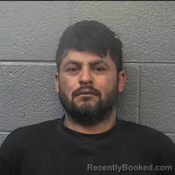 Mugshot of JORGE LUIS MENDOZA MORALES