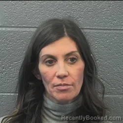 Mugshot of Crystal Cook Meadows