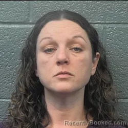 Booking photo from Danville County, Virginia