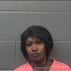 Mugshot of CAMIYAH LASHAI DIXON