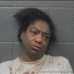 Mugshot of LAKISHA RENEE WILSON