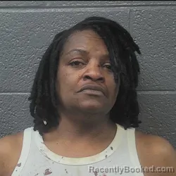 Mugshot of ALICIA LOGAN TURNER