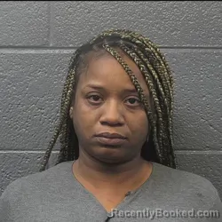 Booking photo from Danville County, Virginia