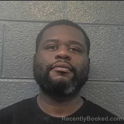 Mugshot of DERICK LAMONT WILLIAMSON