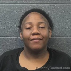 Mugshot of ASHLEY NICOLE CHANDLER