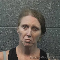 Booking photo from Danville County, Virginia