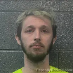 Mugshot of DAVID MICHAEL HANGELIA