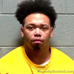 Mugshot of BRIAN LAMONT TERRY