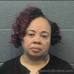 Mugshot of LAKESHA MICHELLE MERRITT booked in Danville County, Virginia on March 16, 2026