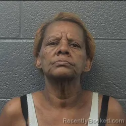 Mugshot of PAMELA JONES STOVALL booked in Danville County, Virginia on March 16, 2026