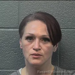 Mugshot of LAURA LORRAINE CHURCH booked in Danville County, Virginia on March 19, 2026