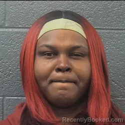 Mugshot of SHANATRA LASHAE BOONE booked in Danville County, Virginia on March 19, 2026