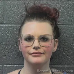 Mugshot of BLAIR SHIELDS FRANICH booked in Danville County, Virginia on March 20, 2026