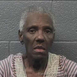 Mugshot of BRENDA CHANDLER GUNTER booked in Danville County, Virginia on March 22, 2026