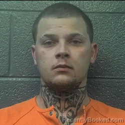 Mugshot of MIKAEL ALEXANDER MARSHALL booked in Danville County, Virginia on March 22, 2026