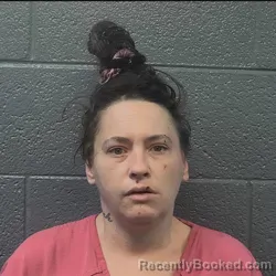 Mugshot of SAMANTHA ELIZABETH GOINS booked in Danville County, Virginia on March 23, 2026