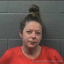 Mugshot of CAROLYN ANN PHELPS booked in Danville County, Virginia on March 23, 2026