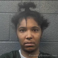 Mugshot of OLANA DESTINY TAITE booked in Danville County, Virginia on March 24, 2026