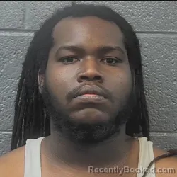 Mugshot of TERENCE LAMAR COBBS booked in Danville County, Virginia on March 24, 2026