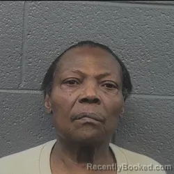 Mugshot of PAMELA KAROL WILSON booked in Danville County, Virginia on March 26, 2026