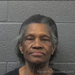 Mugshot of SHARON RENEE SHEPPARD booked in Danville County, Virginia on March 26, 2026