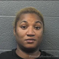 Mugshot of BRIDGETT MICHELLE TUCKER booked in Danville County, Virginia on March 27, 2026